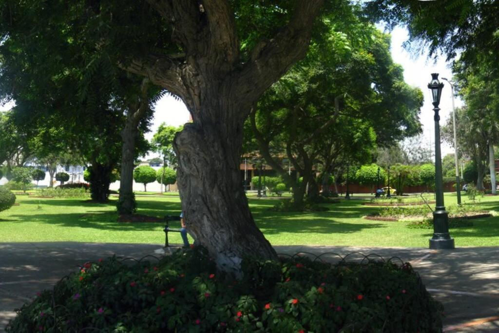 Departamento En San Isidro, * Lima